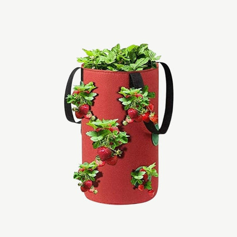 Root Development Harvesting With efficient drainage and visualization holes the multi function growing bag promotes optimal plant growth and makes harvesting a breeze can be used for a range of plants